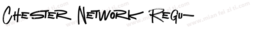 Chester Network Regu字体转换